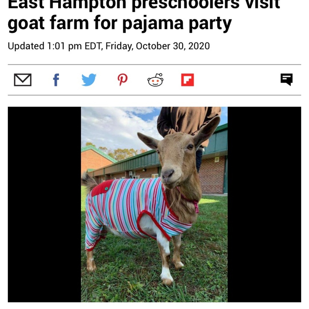 Meet your Posher, Kristi